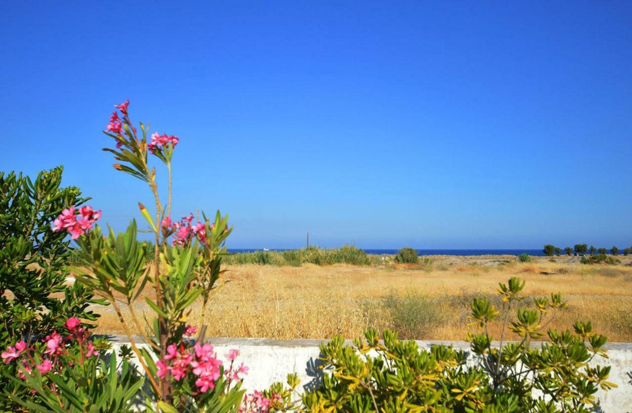 S-Eva Resort Kolymbia Buitenkant foto